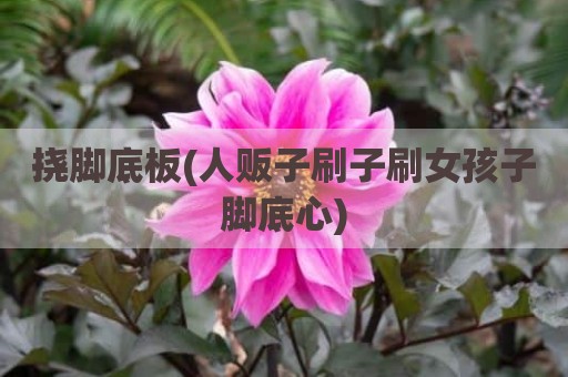 挠脚底板(人贩子刷子刷女孩子脚底心)