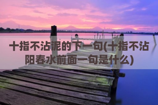十指不沾泥的下一句(十指不沾阳春水前面一句是什么)