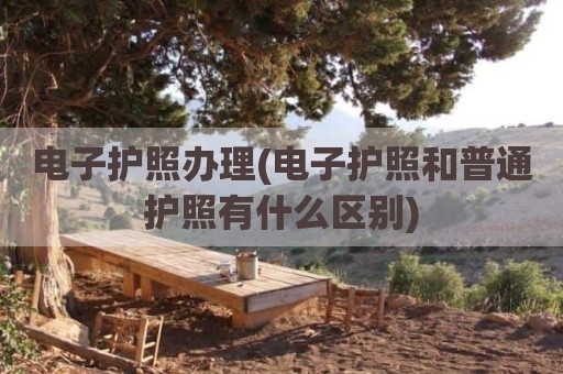 电子护照办理(电子护照和普通护照有什么区别)
