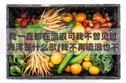我一直都在流浪可我不曾见过海洋是什么歌(我不再流浪也不在忧伤)