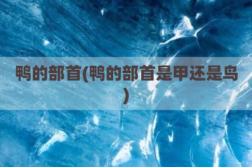 鸭的部首(鸭的部首是甲还是鸟)