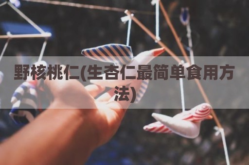 野核桃仁(生杏仁最简单食用方法)