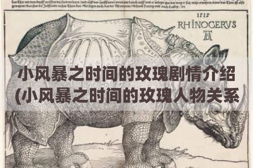 小风暴之时间的玫瑰剧情介绍(小风暴之时间的玫瑰人物关系图)
