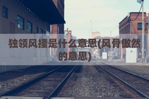 独领风搔是什么意思(风骨傲然的意思)