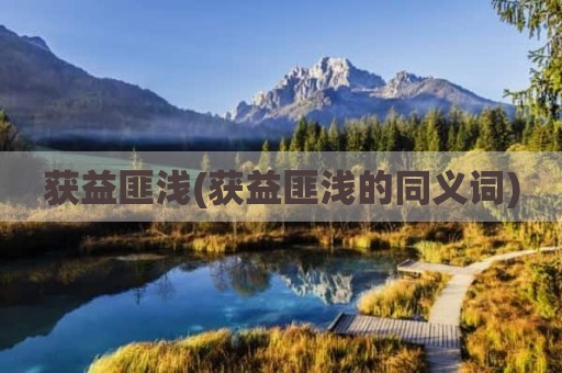 获益匪浅(获益匪浅的同义词)