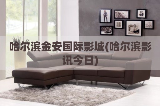 哈尔滨金安国际影城(哈尔滨影讯今日)