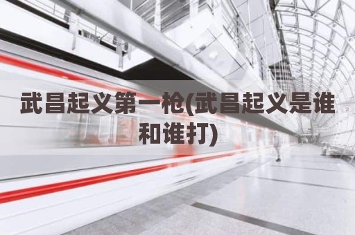 武昌起义第一枪(武昌起义是谁和谁打)