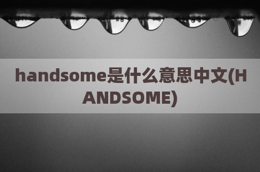 handsome是什么意思中文(HANDSOME)