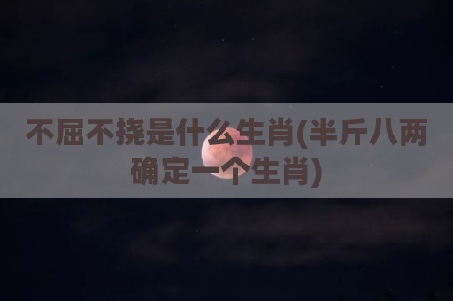 不屈不挠是什么生肖(半斤八两确定一个生肖)