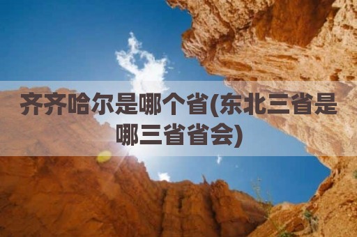 齐齐哈尔是哪个省(东北三省是哪三省省会)
