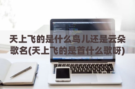 天上飞的是什么鸟儿还是云朵歌名(天上飞的是首什么歌呀)