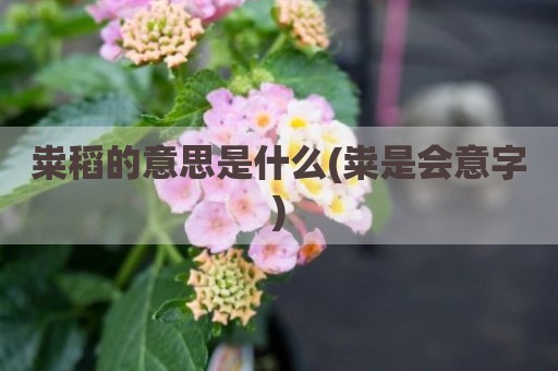 粜稻的意思是什么(粜是会意字)