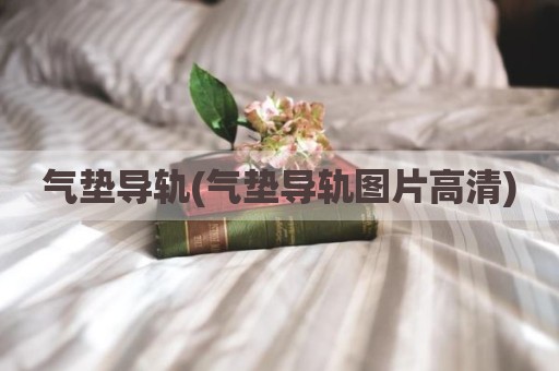 气垫导轨(气垫导轨图片高清)