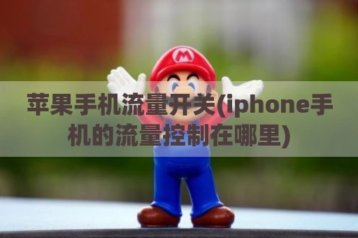 苹果手机流量开关(iphone手机的流量控制在哪里)