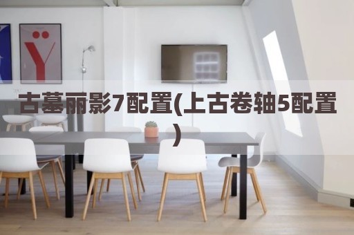 古墓丽影7配置(上古卷轴5配置)