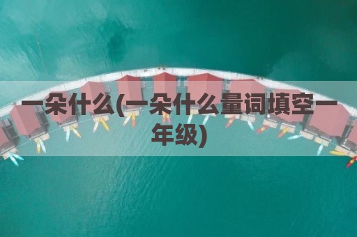 一朵什么(一朵什么量词填空一年级)