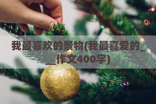我最喜欢的景物(我最喜爱的___作文400字)