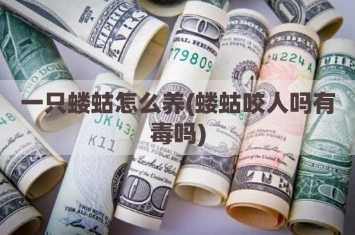 一只蝼蛄怎么养(蝼蛄咬人吗有毒吗)
