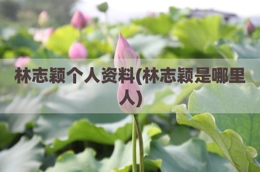 林志颖个人资料(林志颖是哪里人)