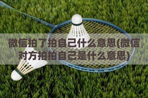 微信拍了拍自己什么意思(微信对方拍拍自己是什么意思)