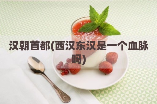 汉朝首都(西汉东汉是一个血脉吗)