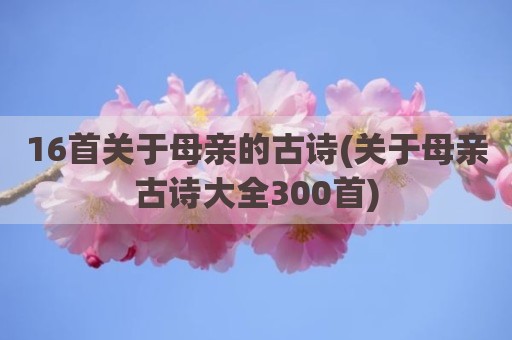 16首关于母亲的古诗(关于母亲古诗大全300首)