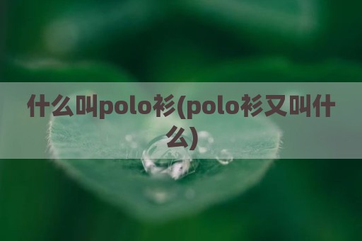 什么叫polo衫(polo衫又叫什么)
