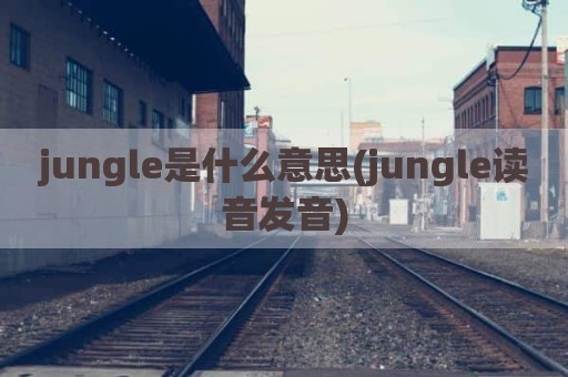 jungle是什么意思(jungle读音发音)