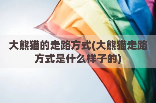 大熊猫的走路方式(大熊猫走路方式是什么样子的)