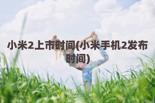 小米2上市时间(小米手机2发布时间)