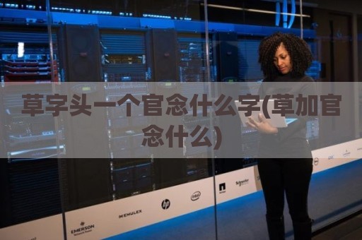 草字头一个官念什么字(草加官念什么)