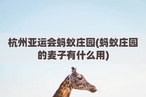 杭州亚运会蚂蚁庄园(蚂蚁庄园的麦子有什么用)