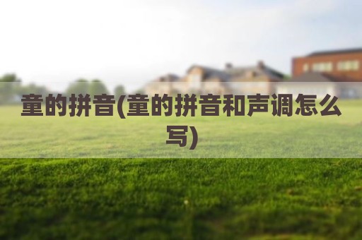 童的拼音(童的拼音和声调怎么写)