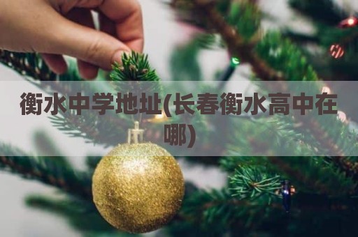 衡水中学地址(长春衡水高中在哪)