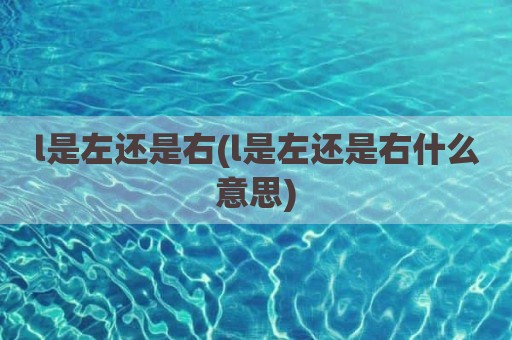 l是左还是右(l是左还是右什么意思)