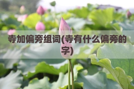 寺加偏旁组词(寺有什么偏旁的字)
