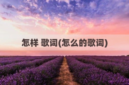 怎样 歌词(怎么的歌词)