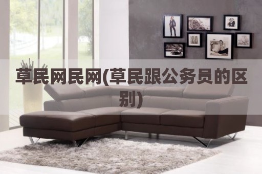 草民网民网(草民跟公务员的区别)