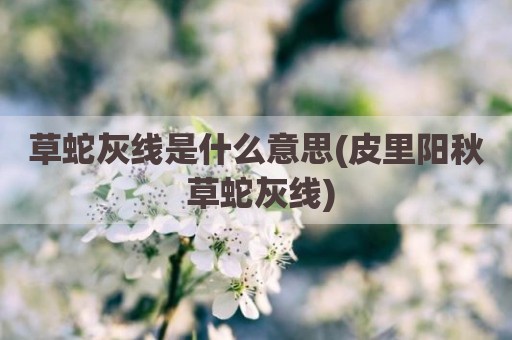 草蛇灰线是什么意思(皮里阳秋 草蛇灰线)