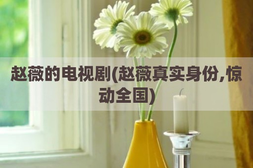 赵薇的电视剧(赵薇真实身份,惊动全国)