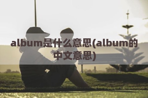 album是什么意思(album的中文意思)