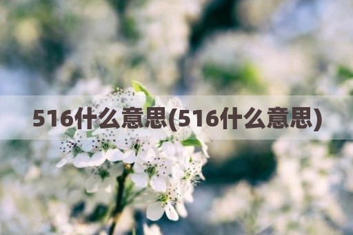 516什么意思(516什么意思)