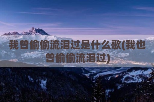 我曾偷偷流泪过是什么歌(我也曾偷偷流泪过)
