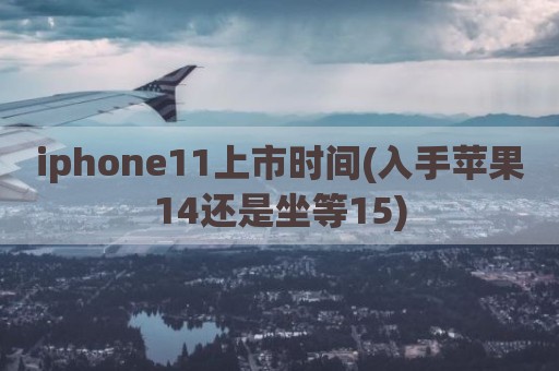 iphone11上市时间(入手苹果14还是坐等15)