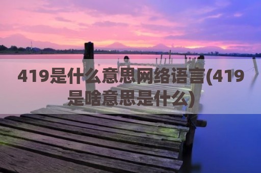 419是什么意思网络语言(419是啥意思是什么)