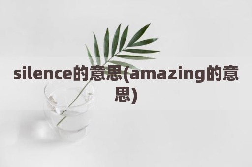 silence的意思(amazing的意思)