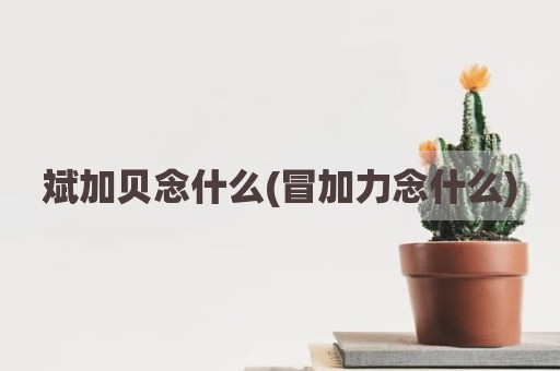 斌加贝念什么(冒加力念什么)
