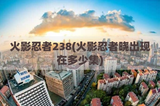 火影忍者238(火影忍者晓出现在多少集)