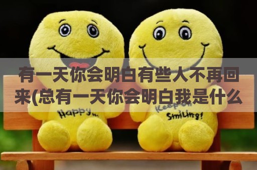 有一天你会明白有些人不再回来(总有一天你会明白我是什么歌)
