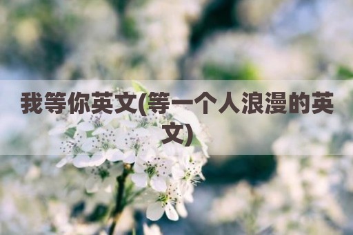 我等你英文(等一个人浪漫的英文)